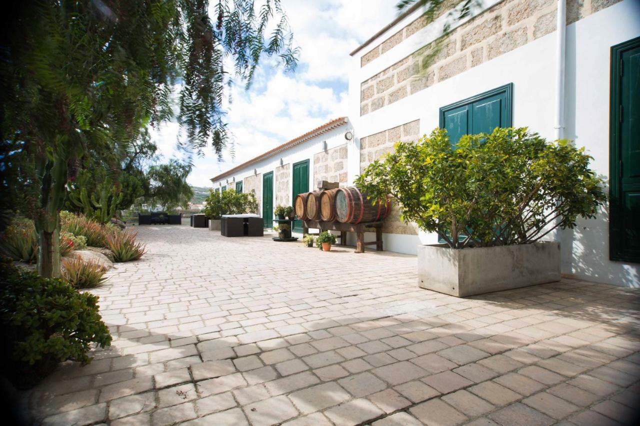La Malvasia Arico Viejo Bagian luar foto