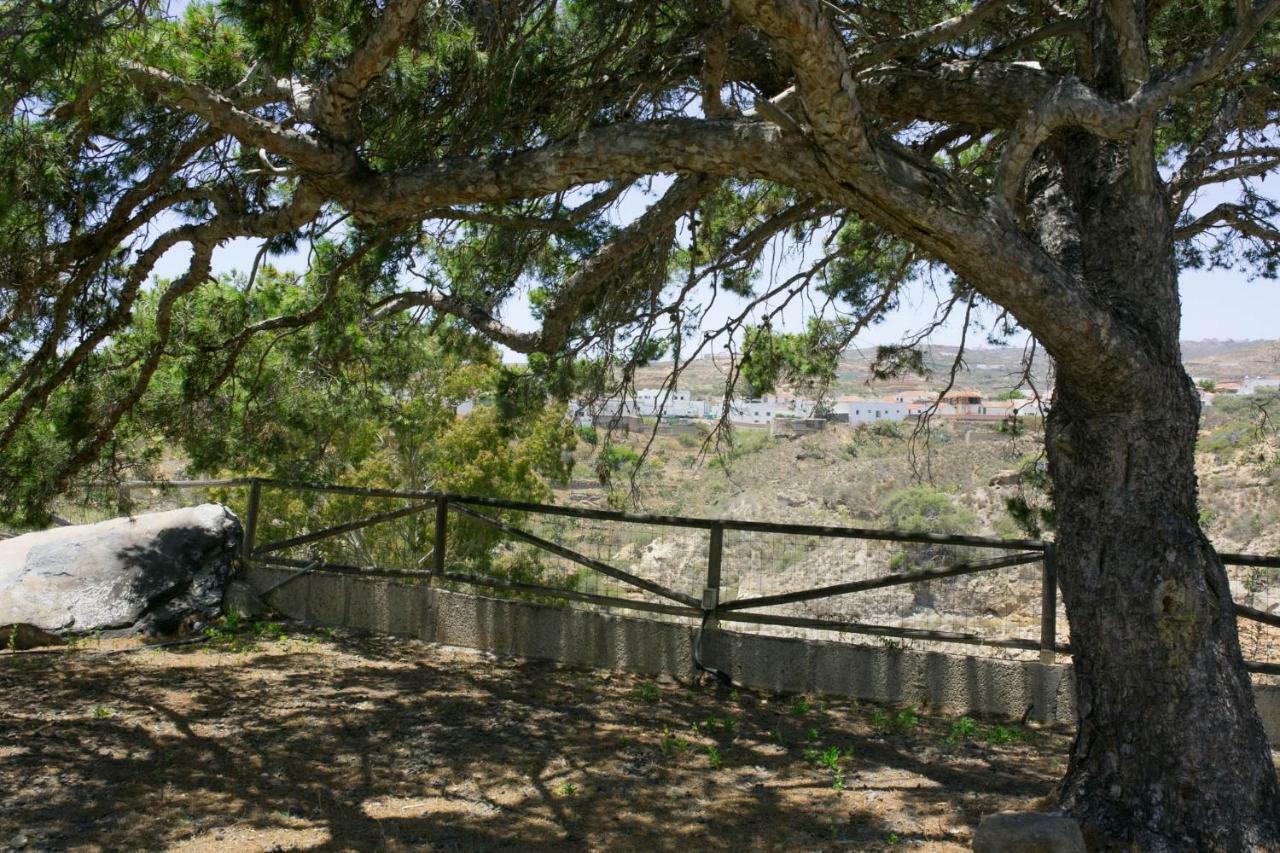 La Malvasia Arico Viejo Bagian luar foto