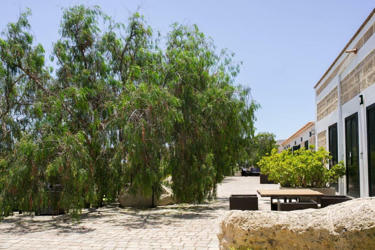 La Malvasia Arico Viejo Bagian luar foto